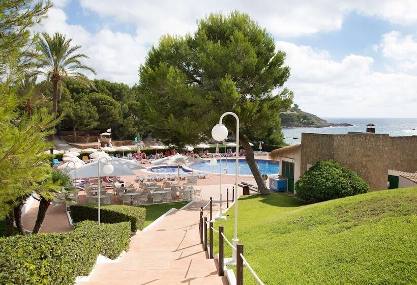 酒店 Aluasoul Carolina   Adults Only