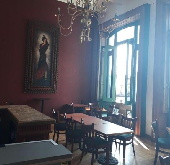 호텔 And Suites San Miguel