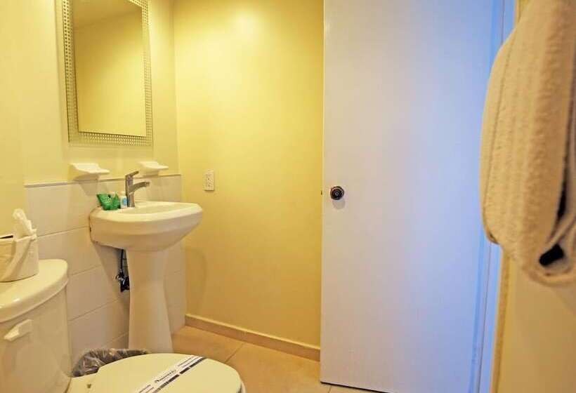 Отель Aranzazu Eco