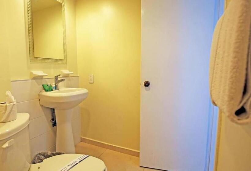 Отель Aranzazu Eco