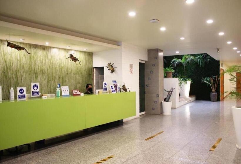 Отель Aranzazu Eco