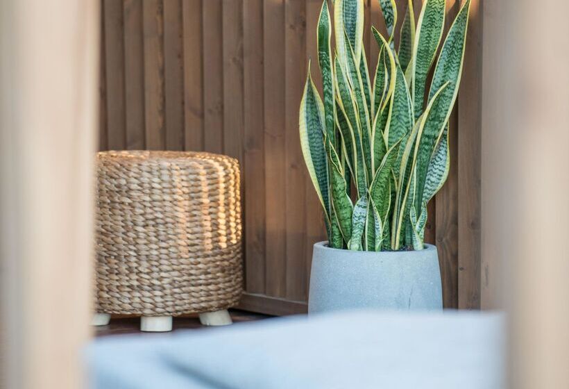 Akasha Beach Hotel & Spa