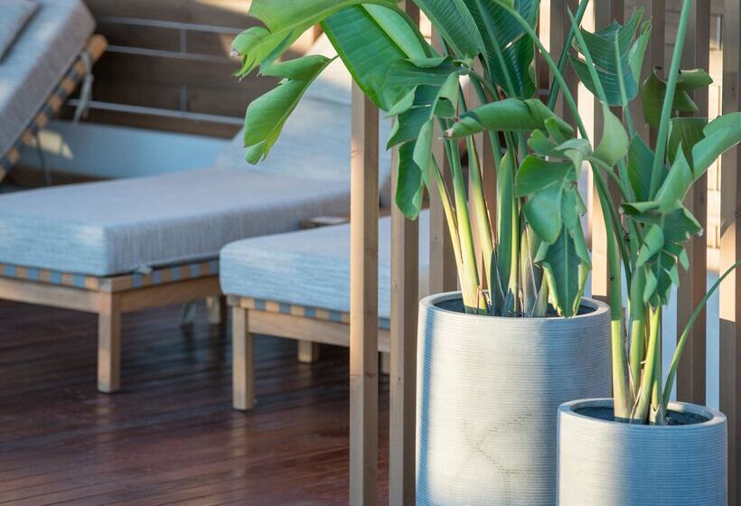 Akasha Beach Hotel & Spa