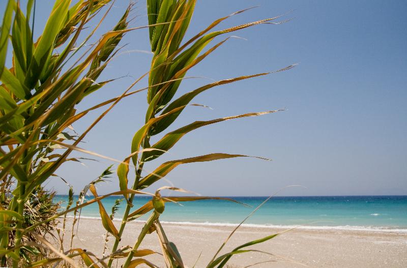 فندق Asterias Bay Theologos