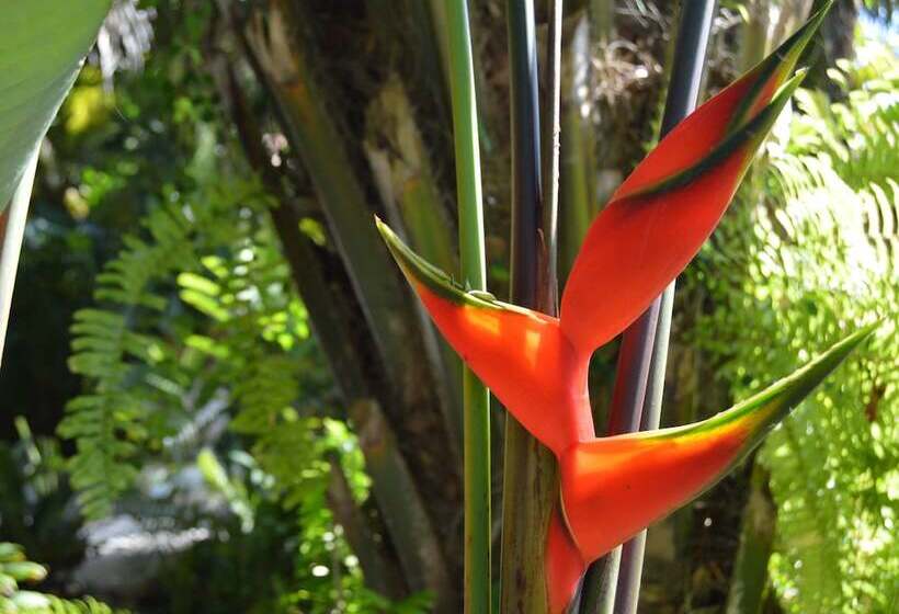 هتل Atmosphera Pousada