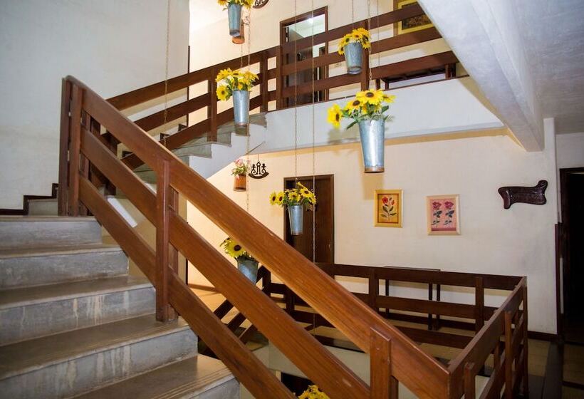 Отель Bela Vista Parque