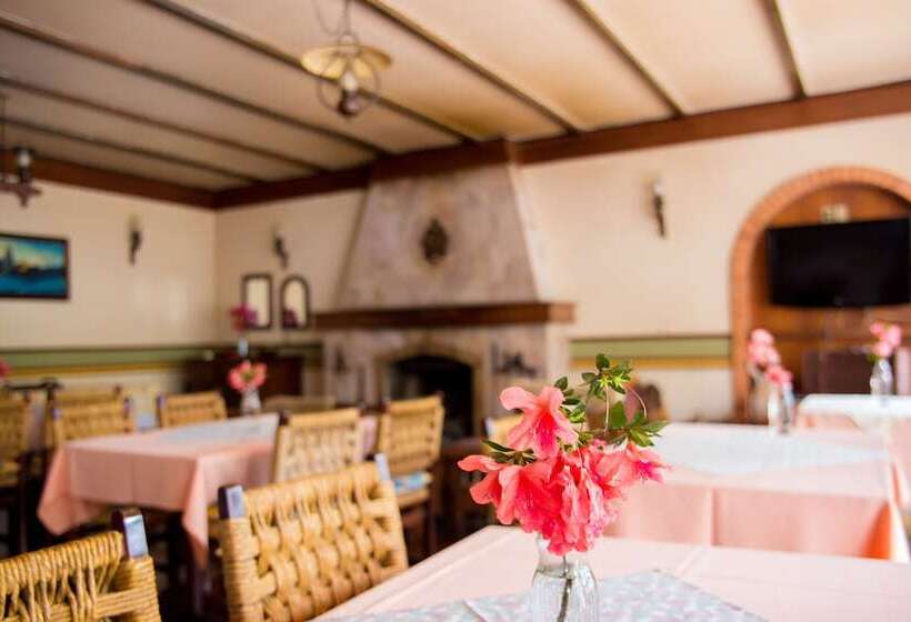 Отель Bela Vista Parque