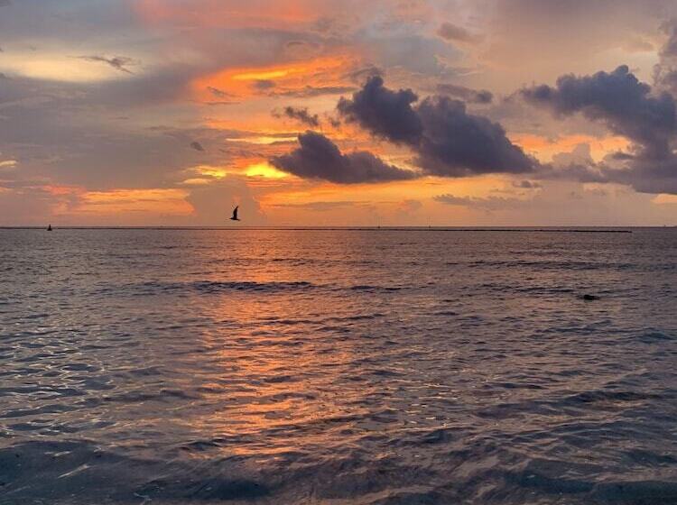 ホテル Casa Barka