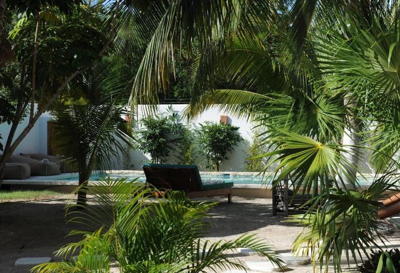 ホテル Casa Blanca