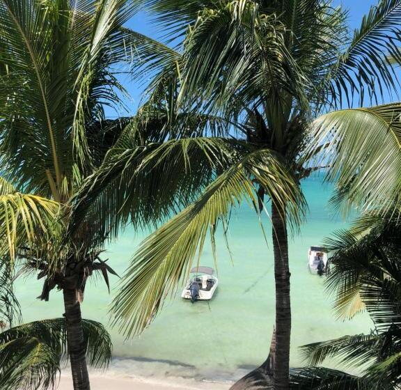 ホテル Casa Blanca