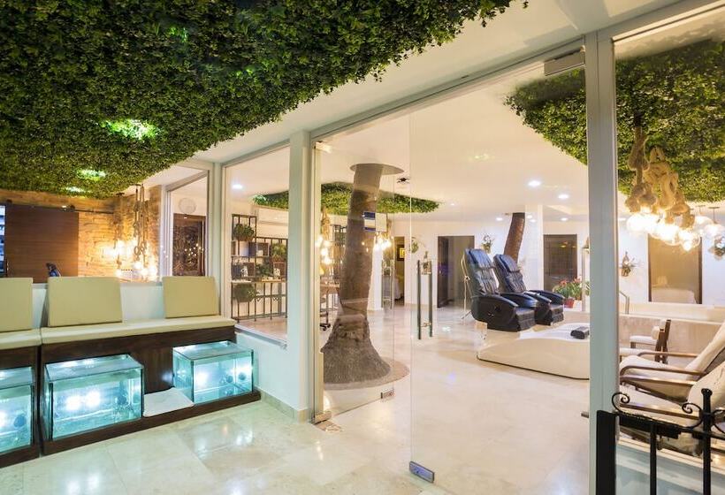 酒店 Casa Doña Susana