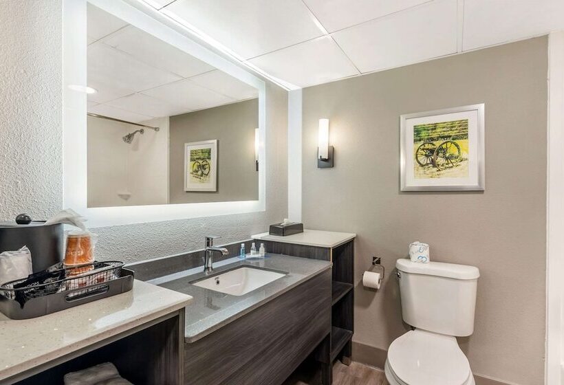 فندق Clarion Inn