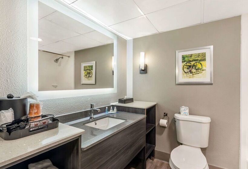 فندق Clarion Inn