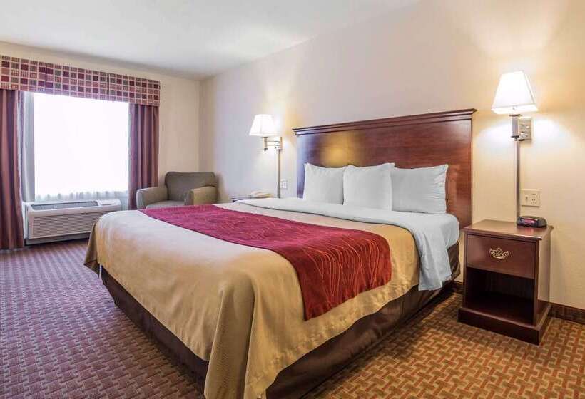 בית מלון כפרי Comfort Inn & Suites Rock Springs Green River