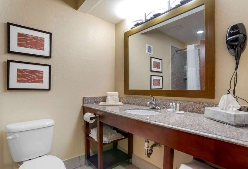 هتل Comfort Inn University Area