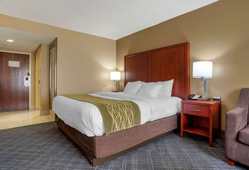 هتل Comfort Inn University Area