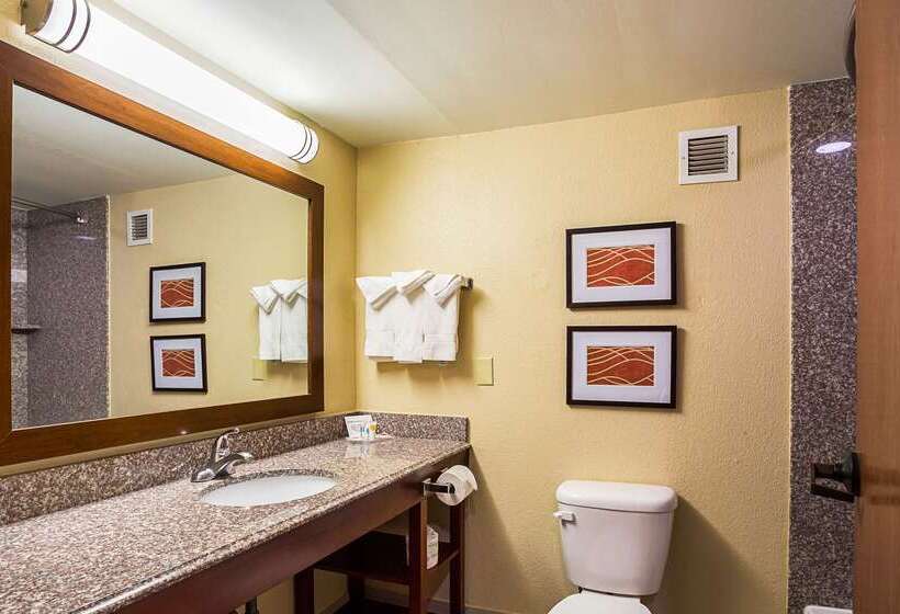 هتل Comfort Inn University Area