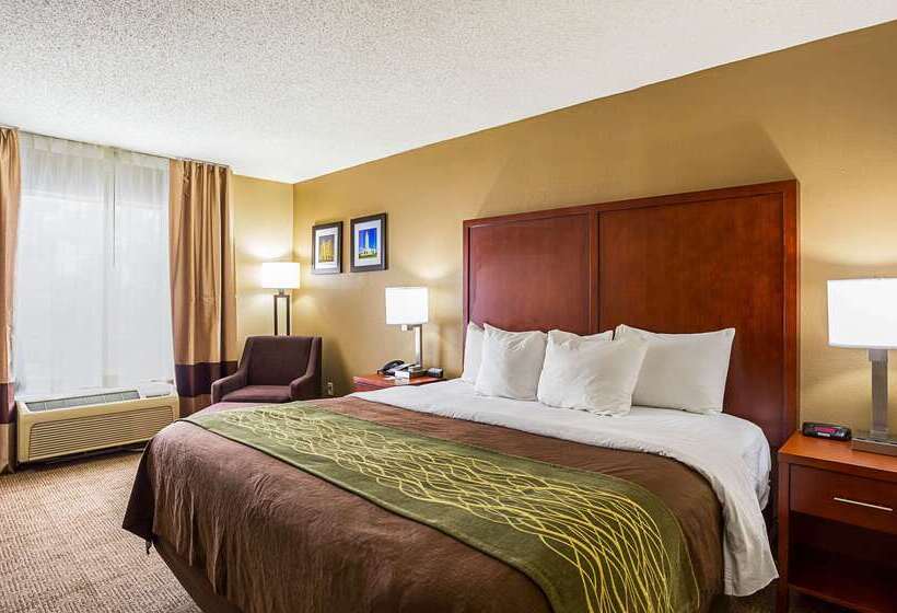 هتل Comfort Inn University Area