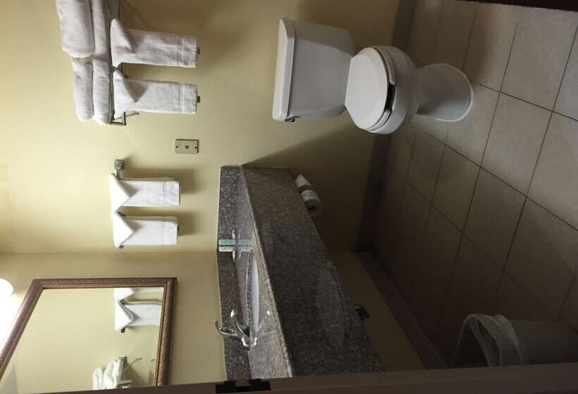 هتل Comfort Inn University Area