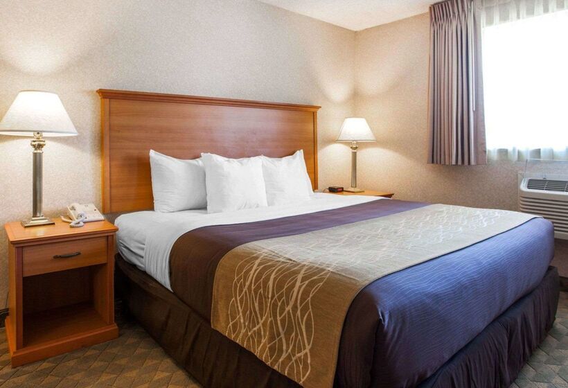 酒店 Quality Inn Kirkland