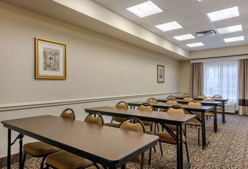 فندق Comfort Inn & Suites Airport