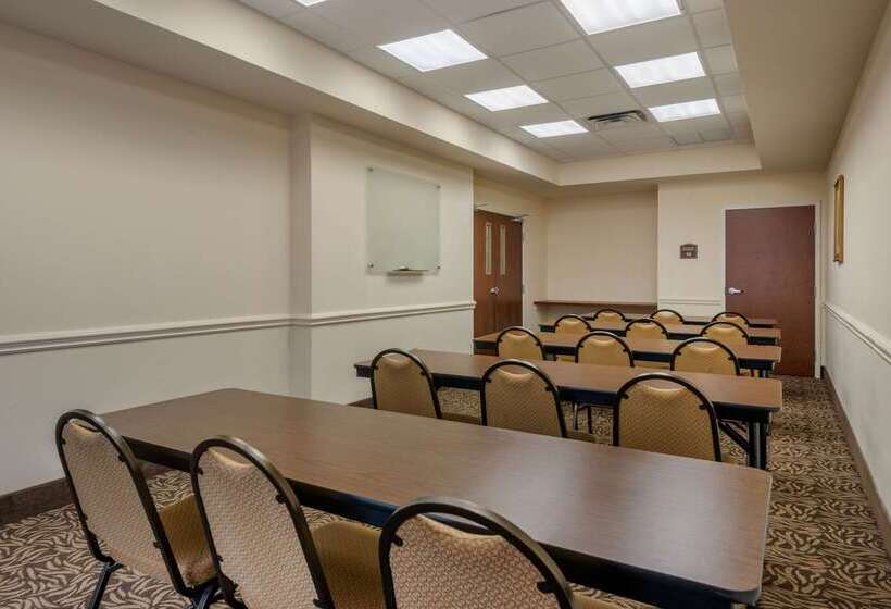 فندق Comfort Inn & Suites Airport