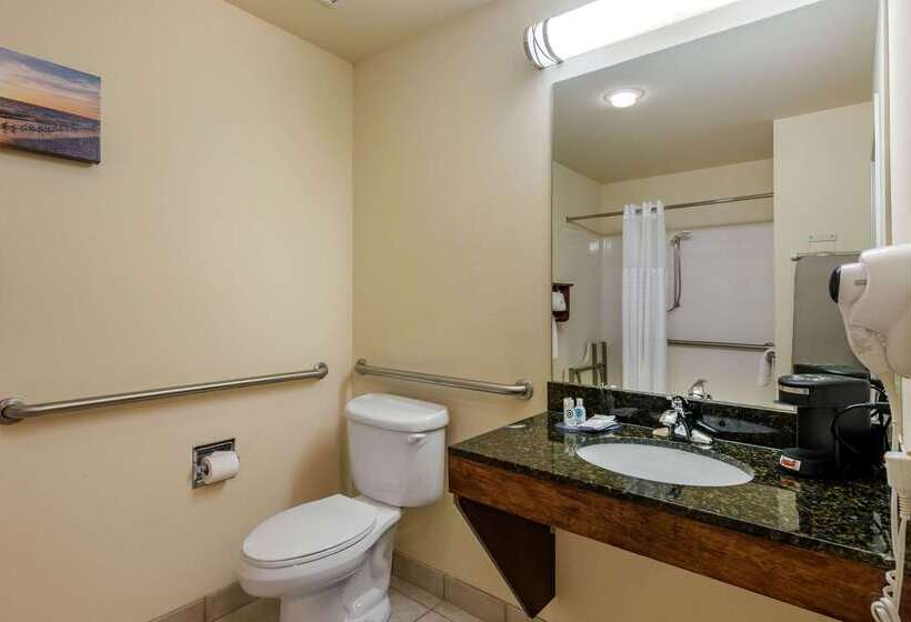 فندق Comfort Inn & Suites Airport