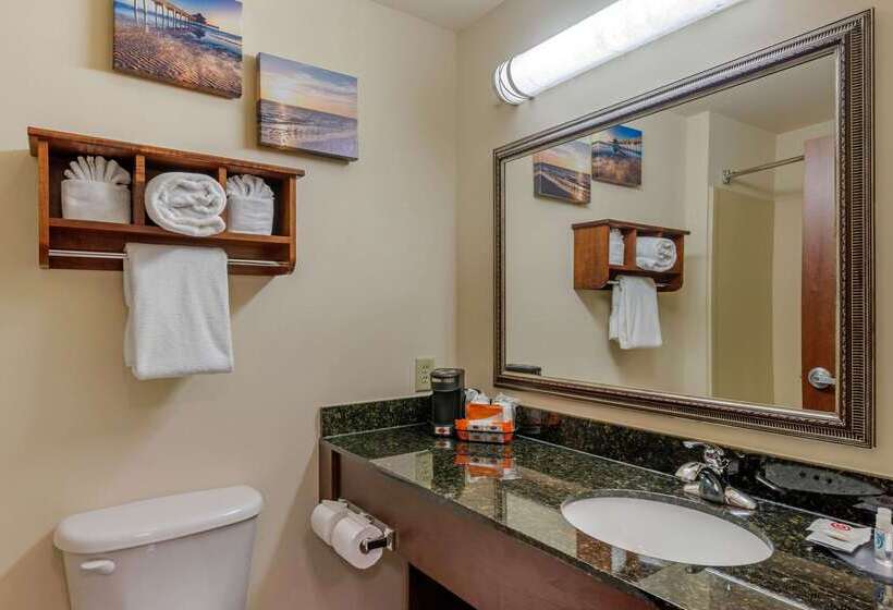 فندق Comfort Inn & Suites Airport