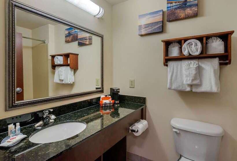 فندق Comfort Inn & Suites Airport