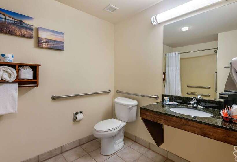 בית מלון כפרי Comfort Inn & Suites Airport