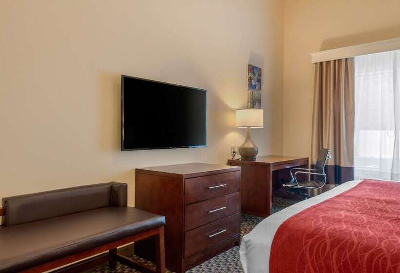 فندق Comfort Inn & Suites Airport