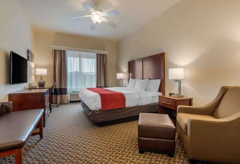 فندق Comfort Inn & Suites Airport