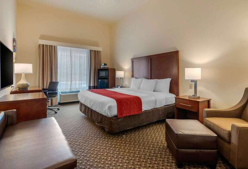 فندق Comfort Inn & Suites Airport