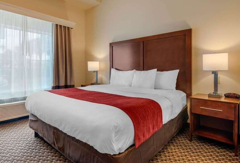 فندق Comfort Inn & Suites Airport