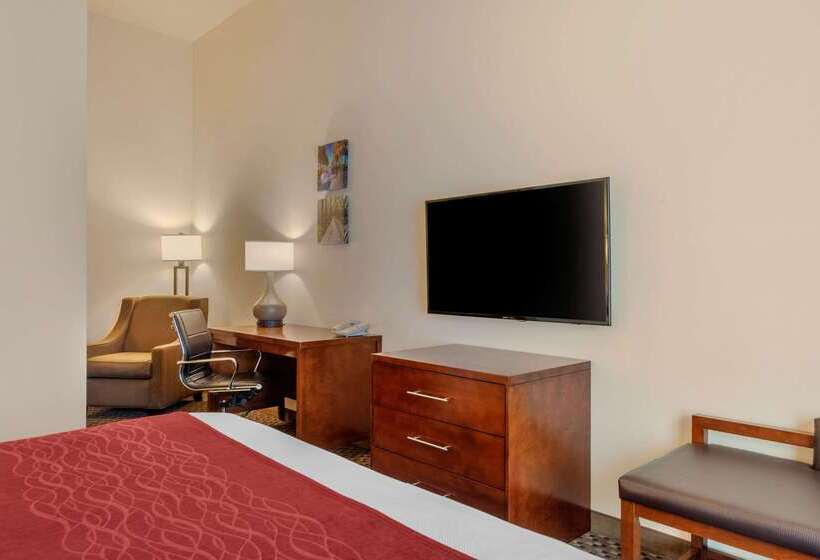 فندق Comfort Inn & Suites Airport