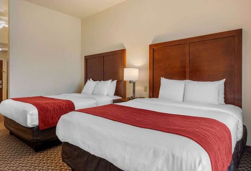 فندق Comfort Inn & Suites Airport