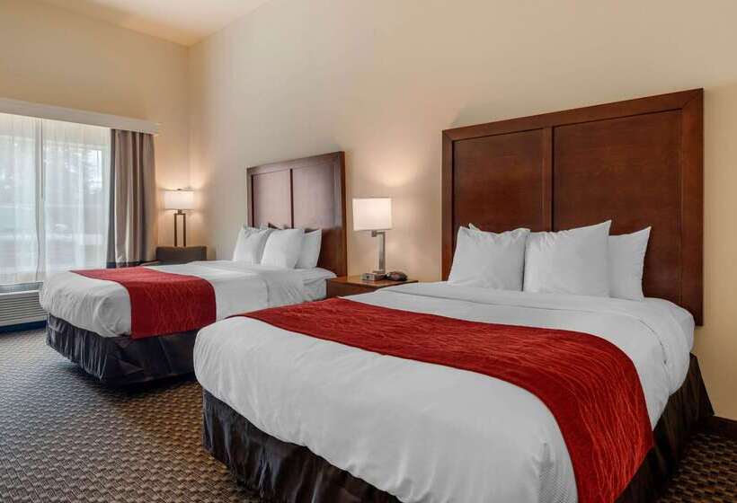 فندق Comfort Inn & Suites Airport