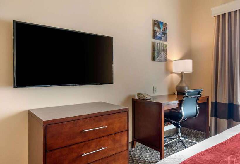 فندق Comfort Inn & Suites Airport