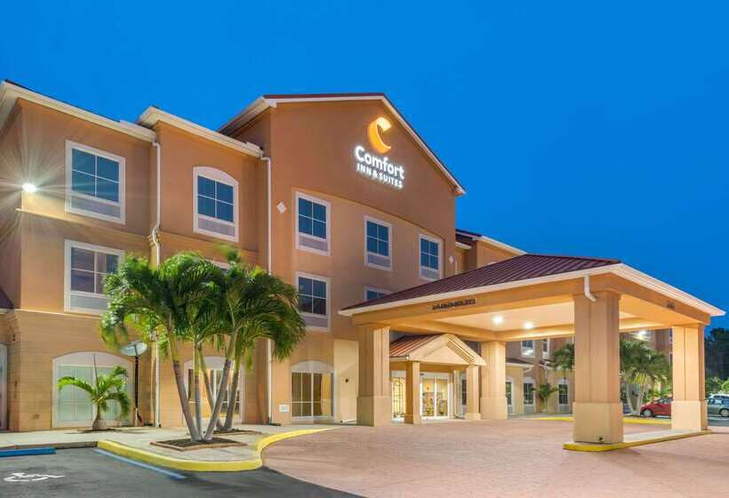 בית מלון כפרי Comfort Inn & Suites Airport