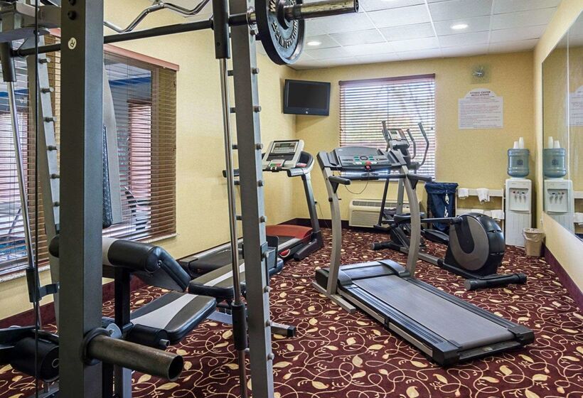 ホテル Comfort Inn & Suites Chesapeake  Portsmouth