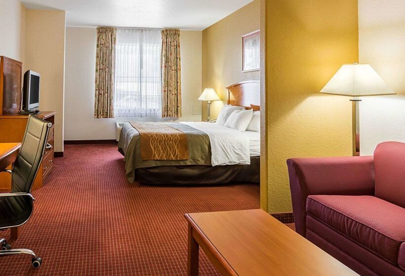ホテル Comfort Inn & Suites Chesapeake  Portsmouth