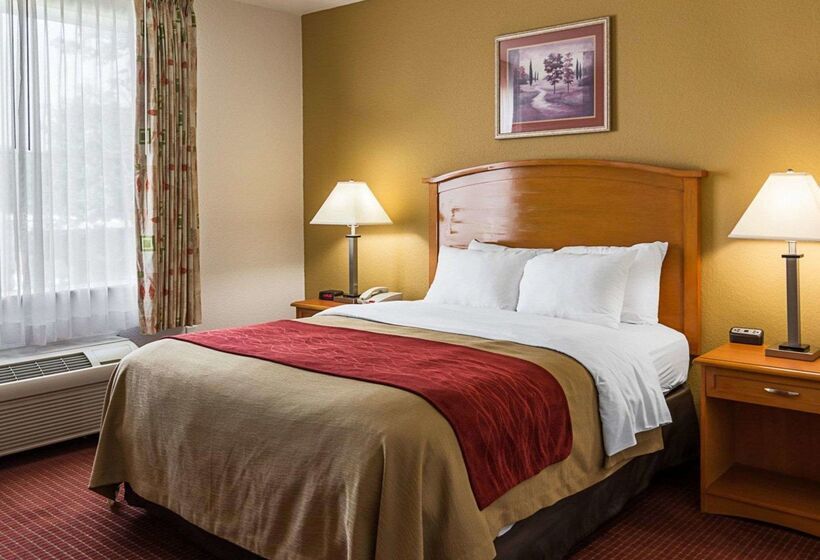 ホテル Comfort Inn & Suites Chesapeake  Portsmouth