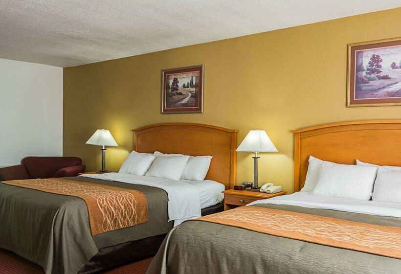 ホテル Comfort Inn & Suites Chesapeake  Portsmouth