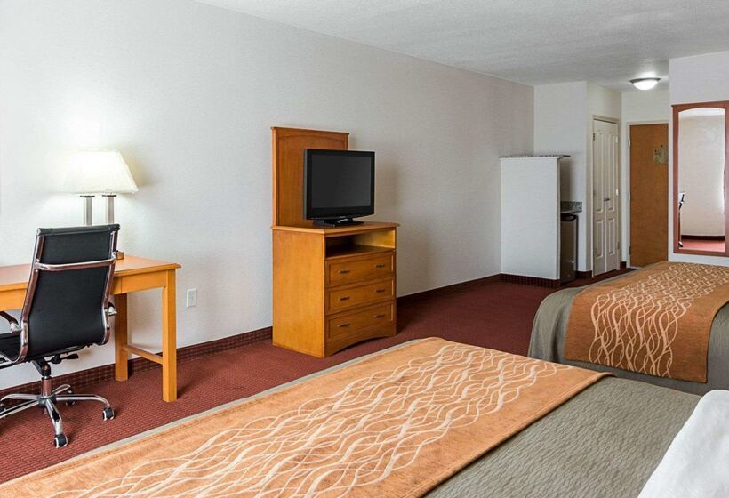 ホテル Comfort Inn & Suites Chesapeake  Portsmouth