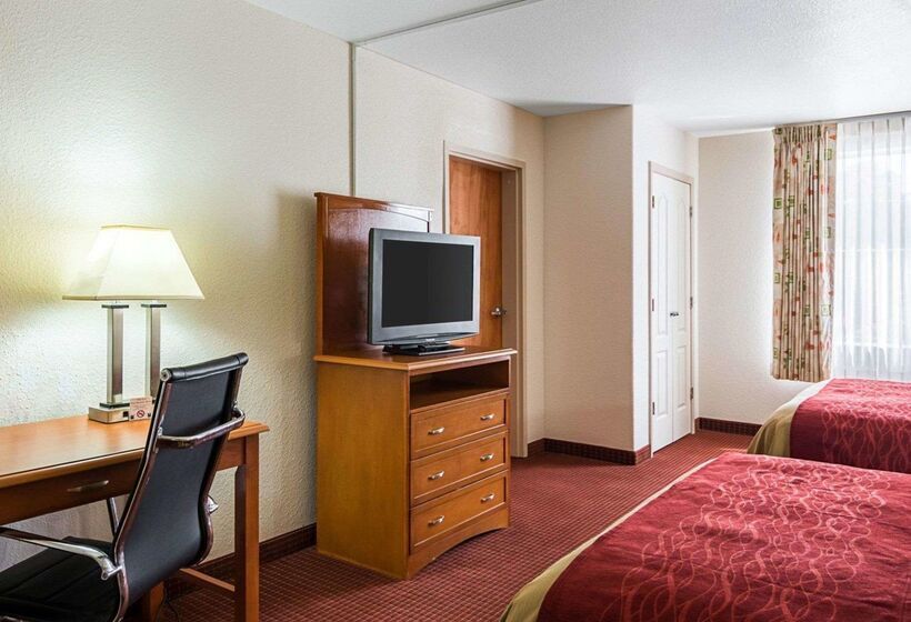 ホテル Comfort Inn & Suites Chesapeake  Portsmouth