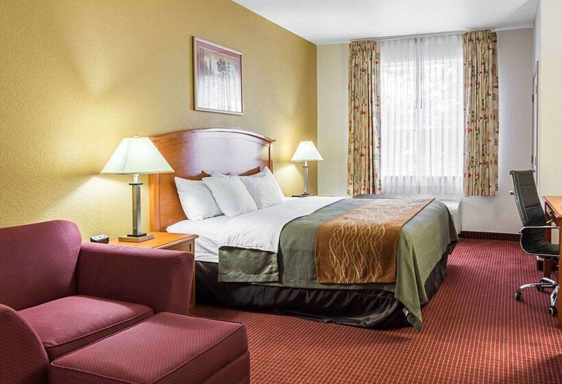 ホテル Comfort Inn & Suites Chesapeake  Portsmouth