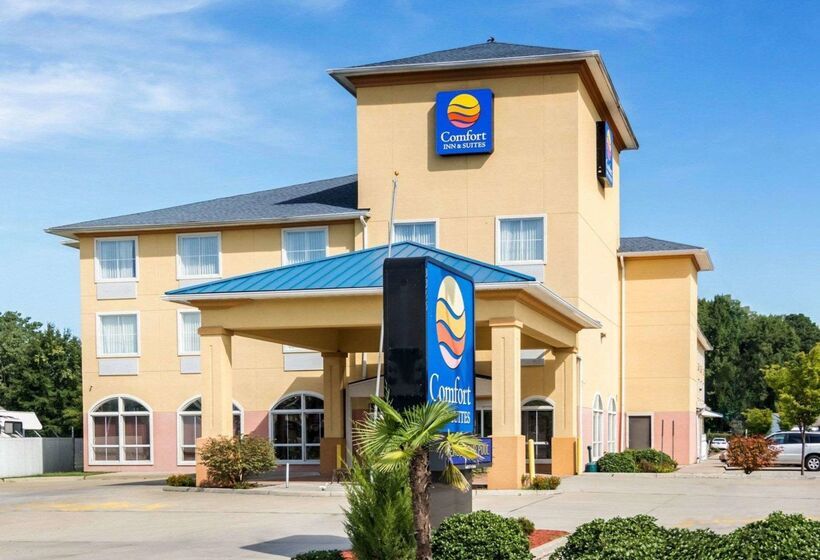 ホテル Comfort Inn & Suites Chesapeake  Portsmouth