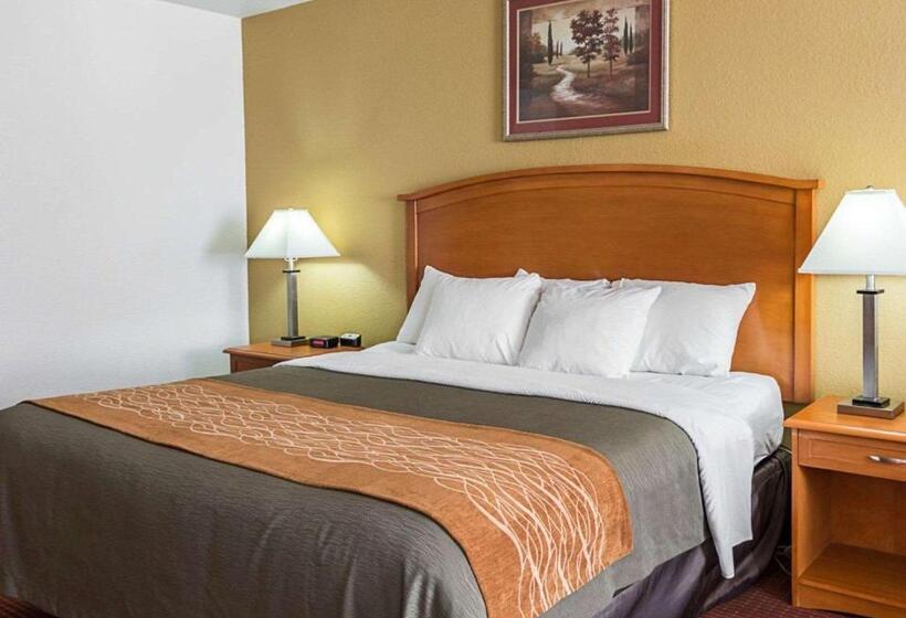 ホテル Comfort Inn & Suites Chesapeake  Portsmouth