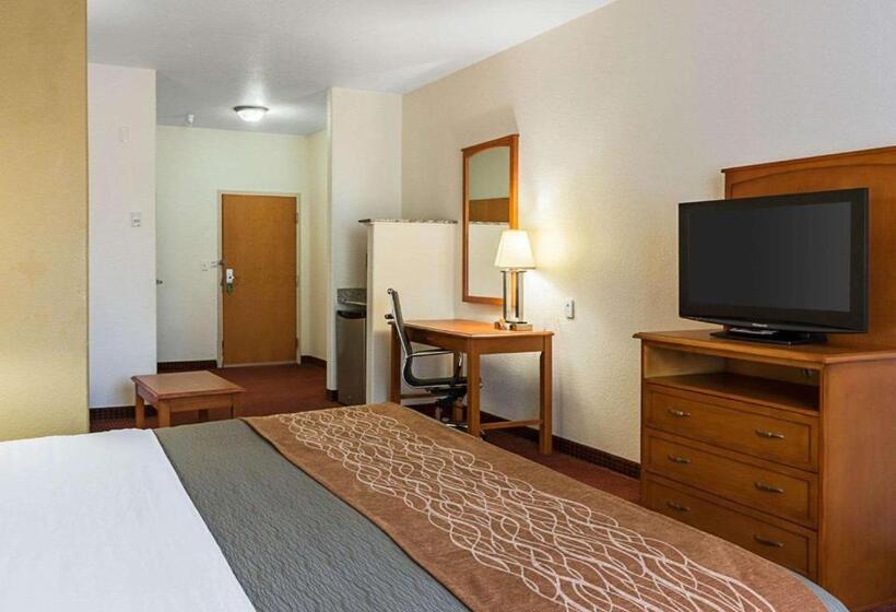 ホテル Comfort Inn & Suites Chesapeake  Portsmouth