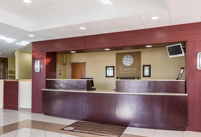 ホテル Comfort Inn & Suites Chesapeake  Portsmouth